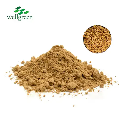 Fenugreek Extract Powder